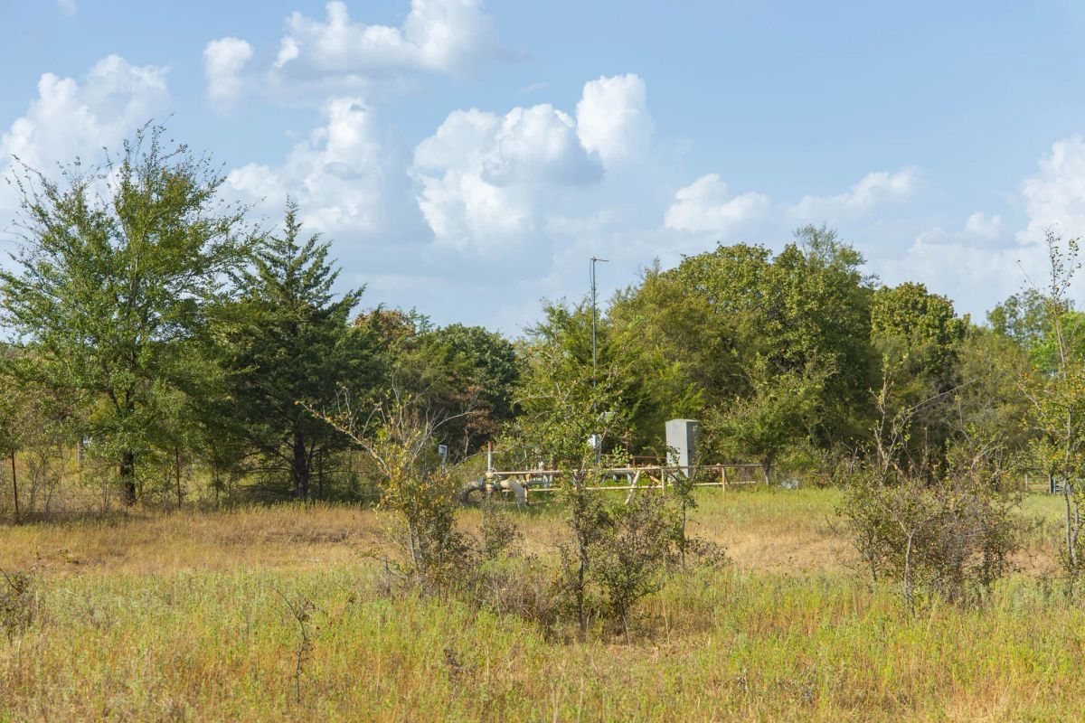 Decorative background for Gracyn Meadows Tract 5 image 15