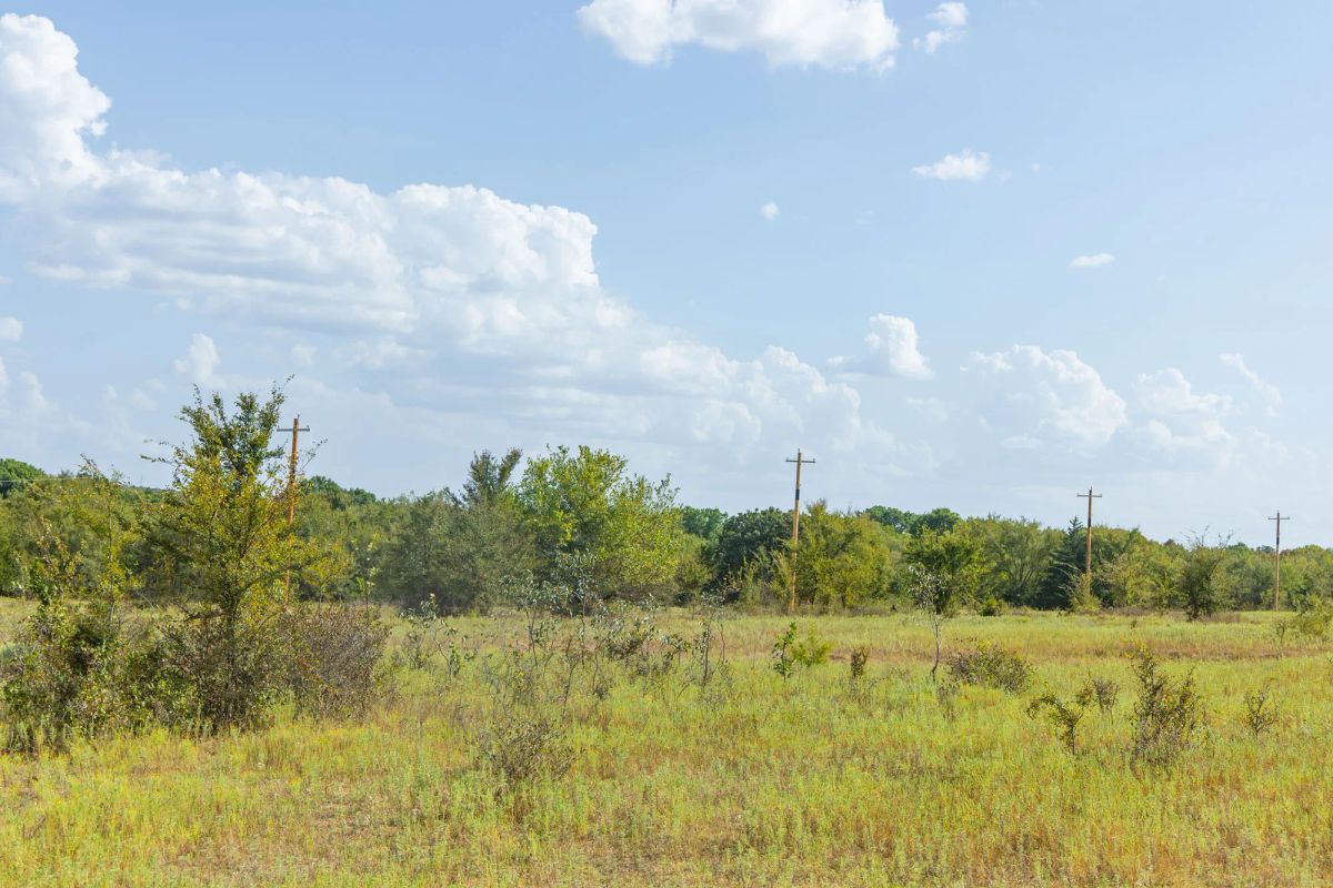 Decorative background for Gracyn Meadows Tract 5 image 17