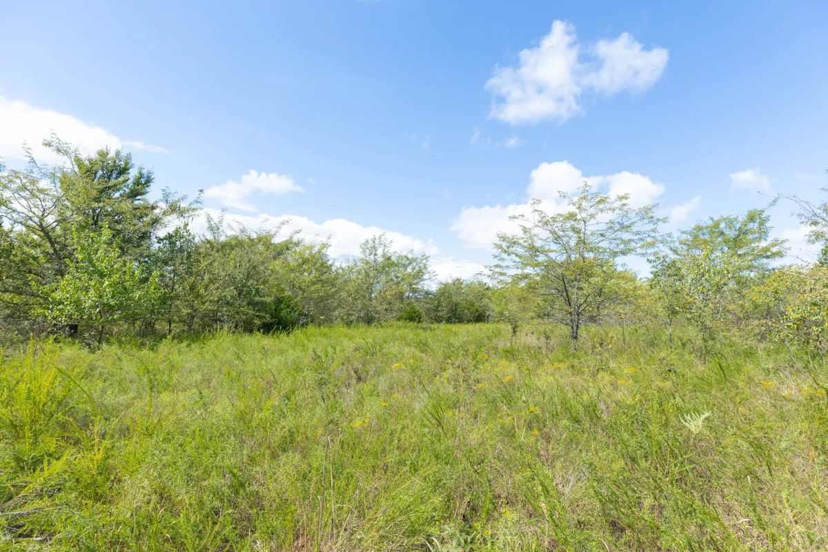 Reserves At Cattail Cove Phase II Tract 105 - Image 4