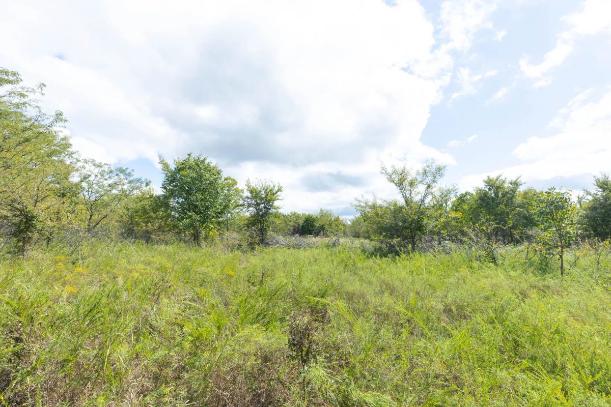 Decorative background for Reserves At Cattail Cove Phase II Tract 105 image 9