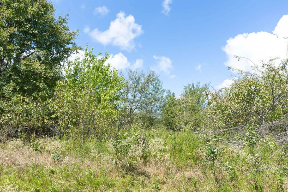 Decorative background for Reserves At Cattail Cove Phase II Tract 105 image 10