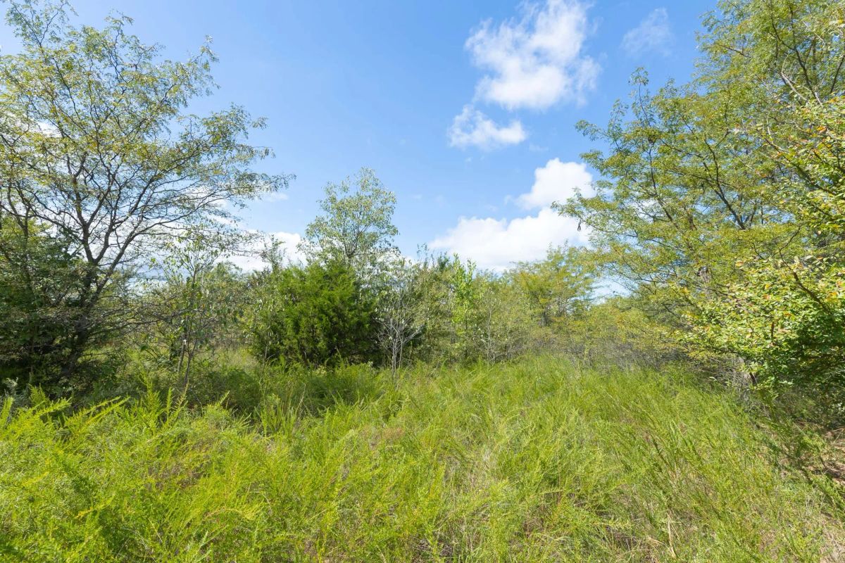 Decorative background for Reserves At Cattail Cove Phase II Tract 105 image 12