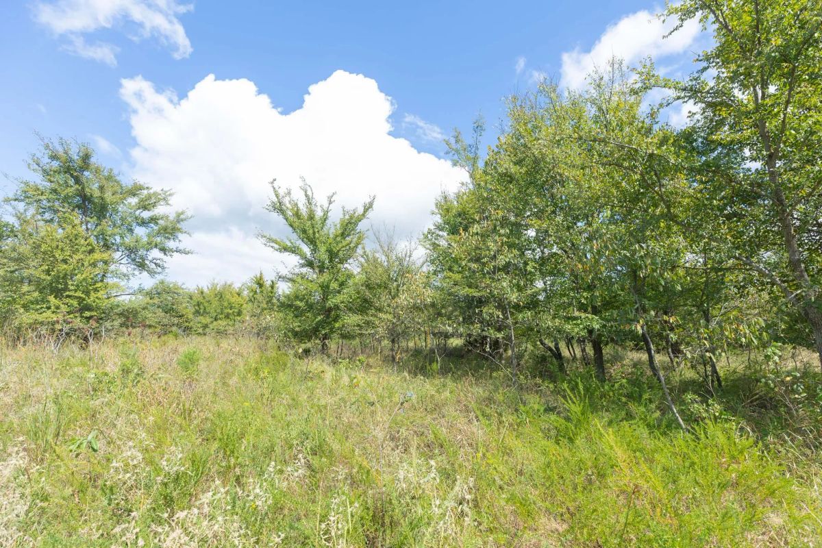 Decorative background for Reserves At Cattail Cove Phase II Tract 105 image 14
