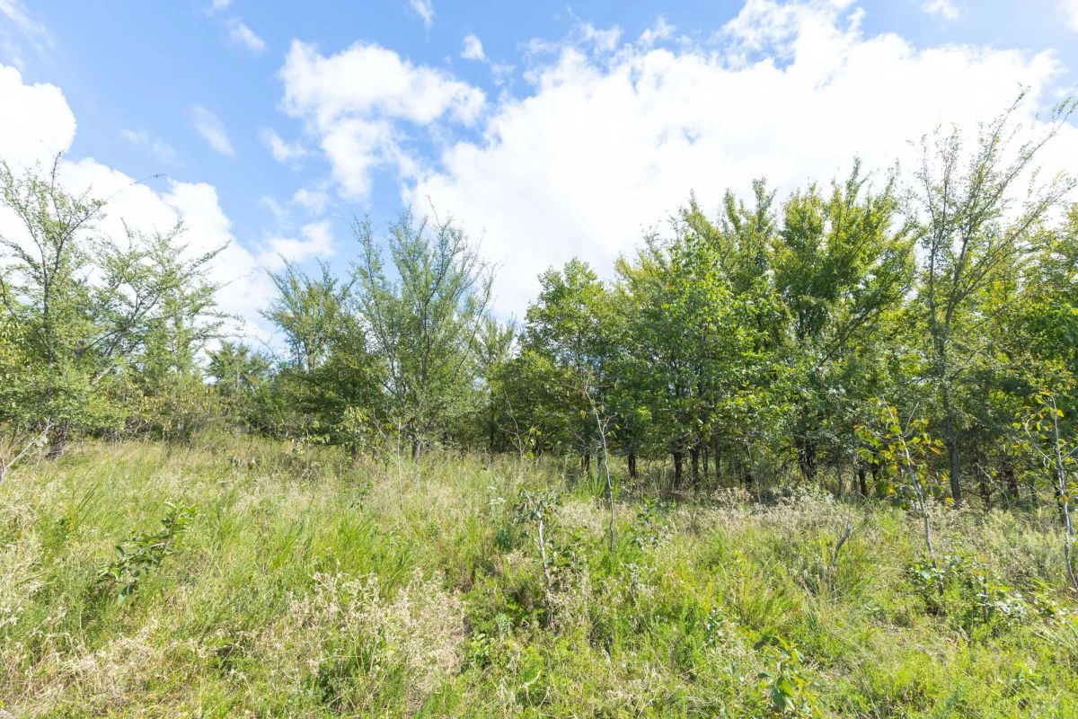 Decorative background for Reserves At Cattail Cove Phase II Tract 105 image 15