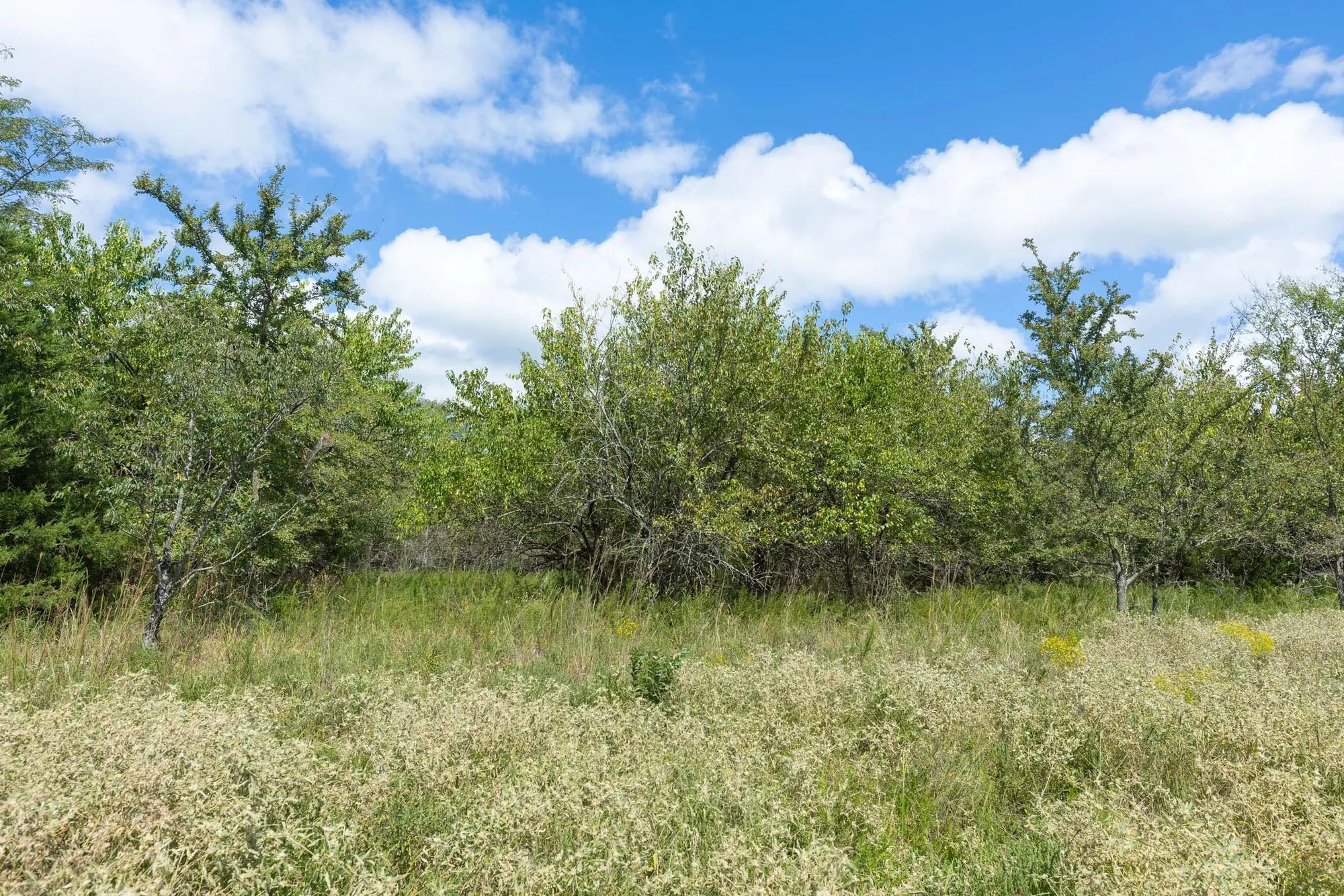Reserves At Cattail Cove Phase II Tract 98 in Pittsburg County, OK