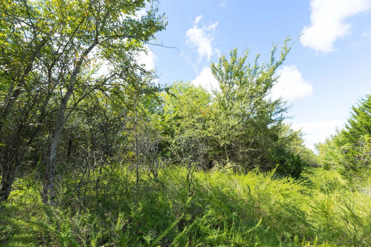 Decorative background for Reserves At Cattail Cove Phase II Tract 98 image 5