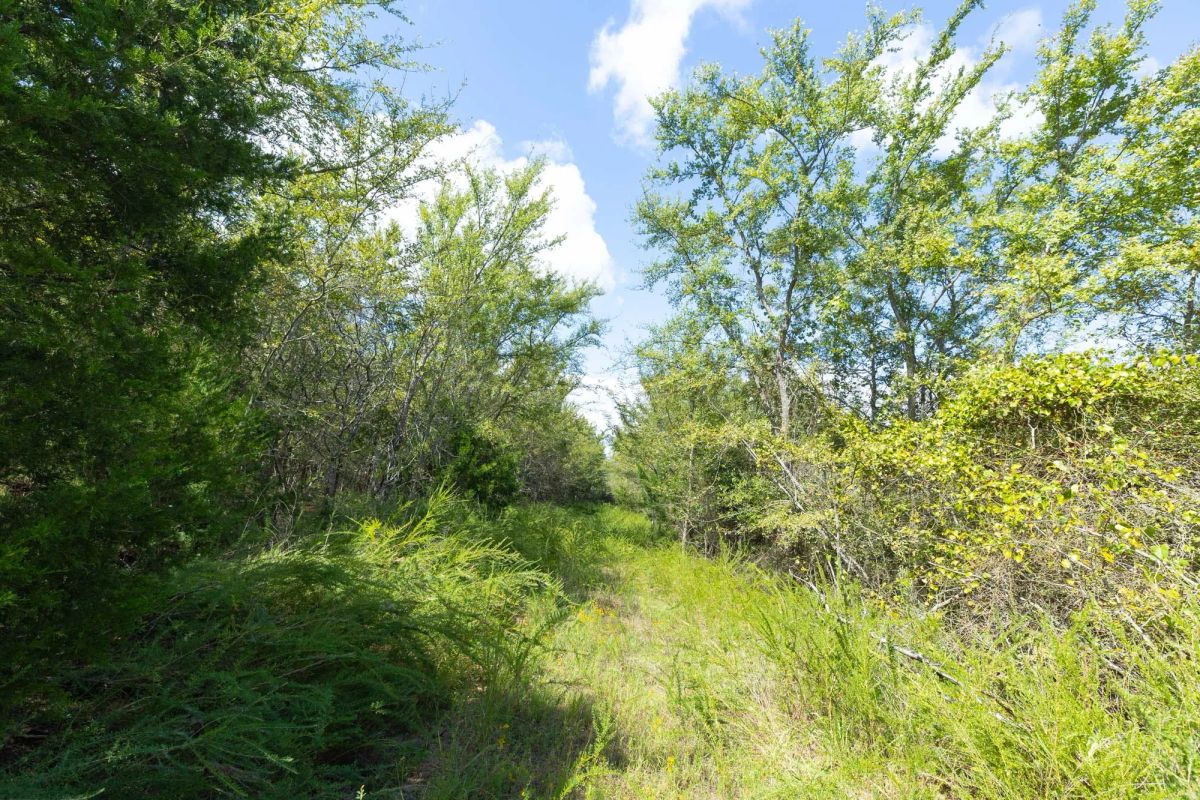 Decorative background for Reserves At Cattail Cove Phase II Tract 98 image 13