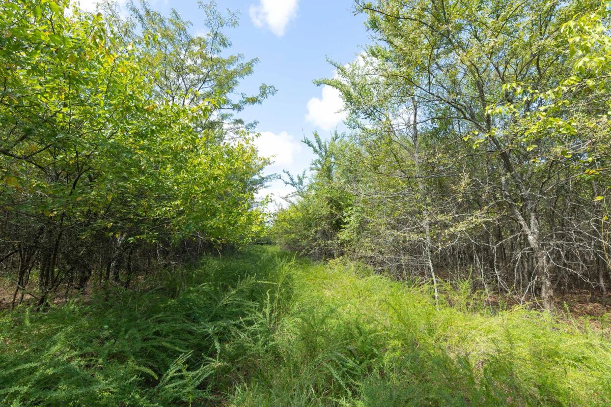 Decorative background for Reserves At Cattail Cove Phase II Tract 98 image 16