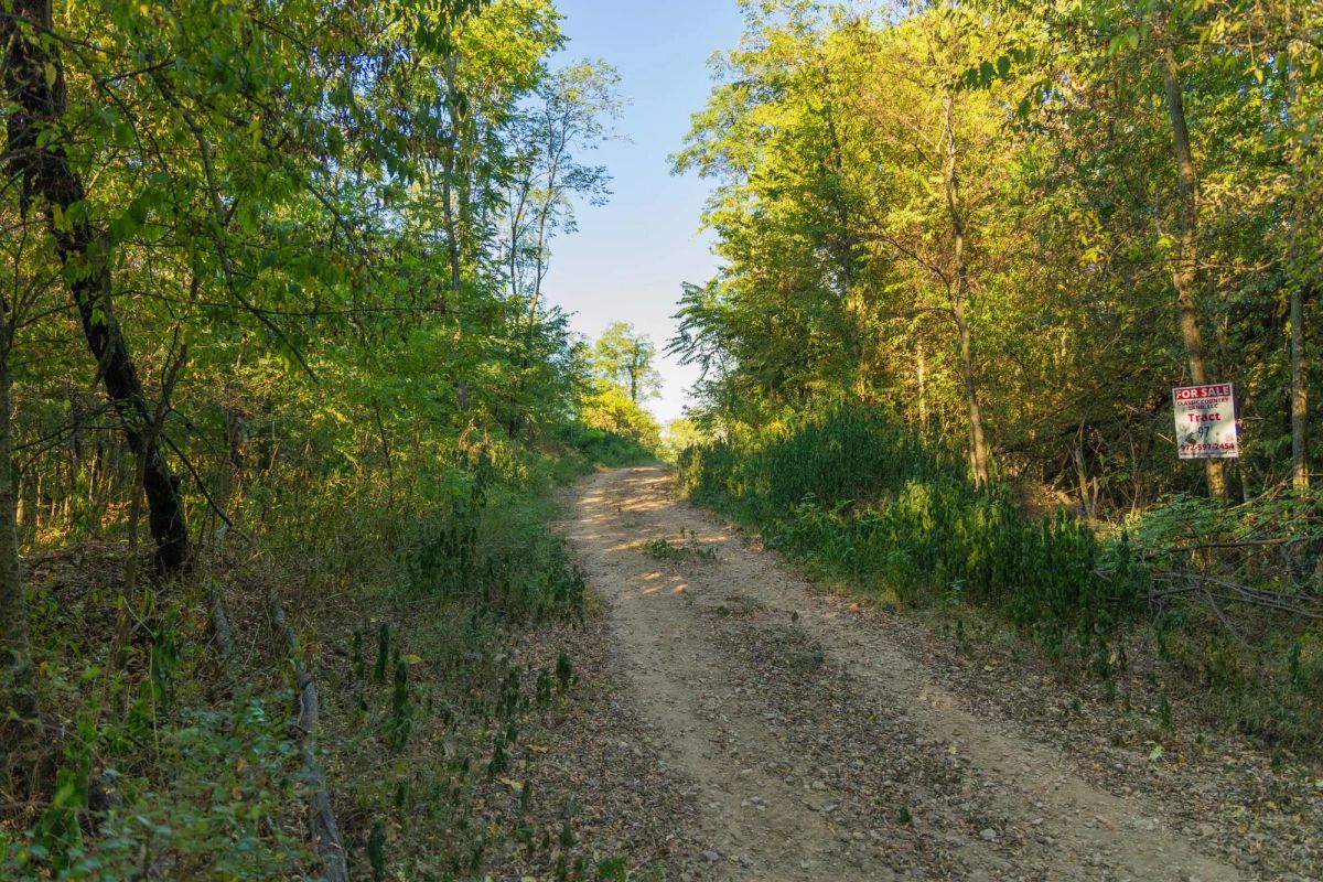 Big White Oak Tract 112 - Main image