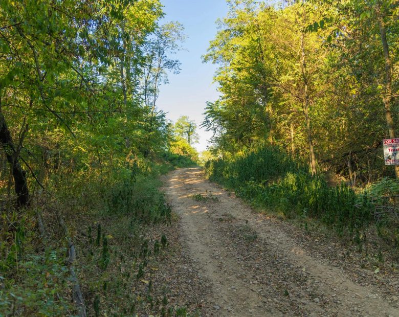 Big White Oak Tract 112 in Perry County, TN