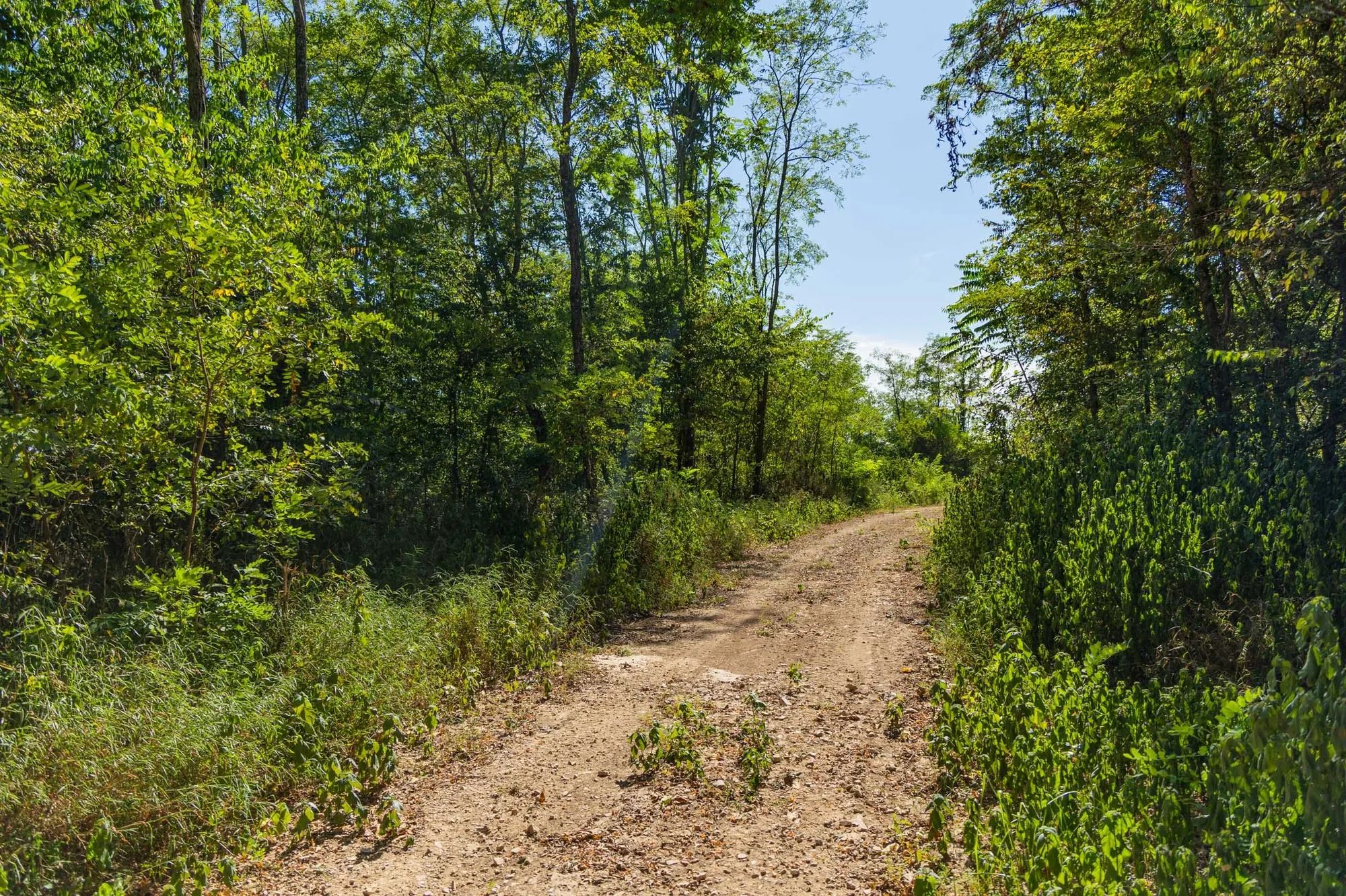Big White Oak Tract 112 in Perry County, TN