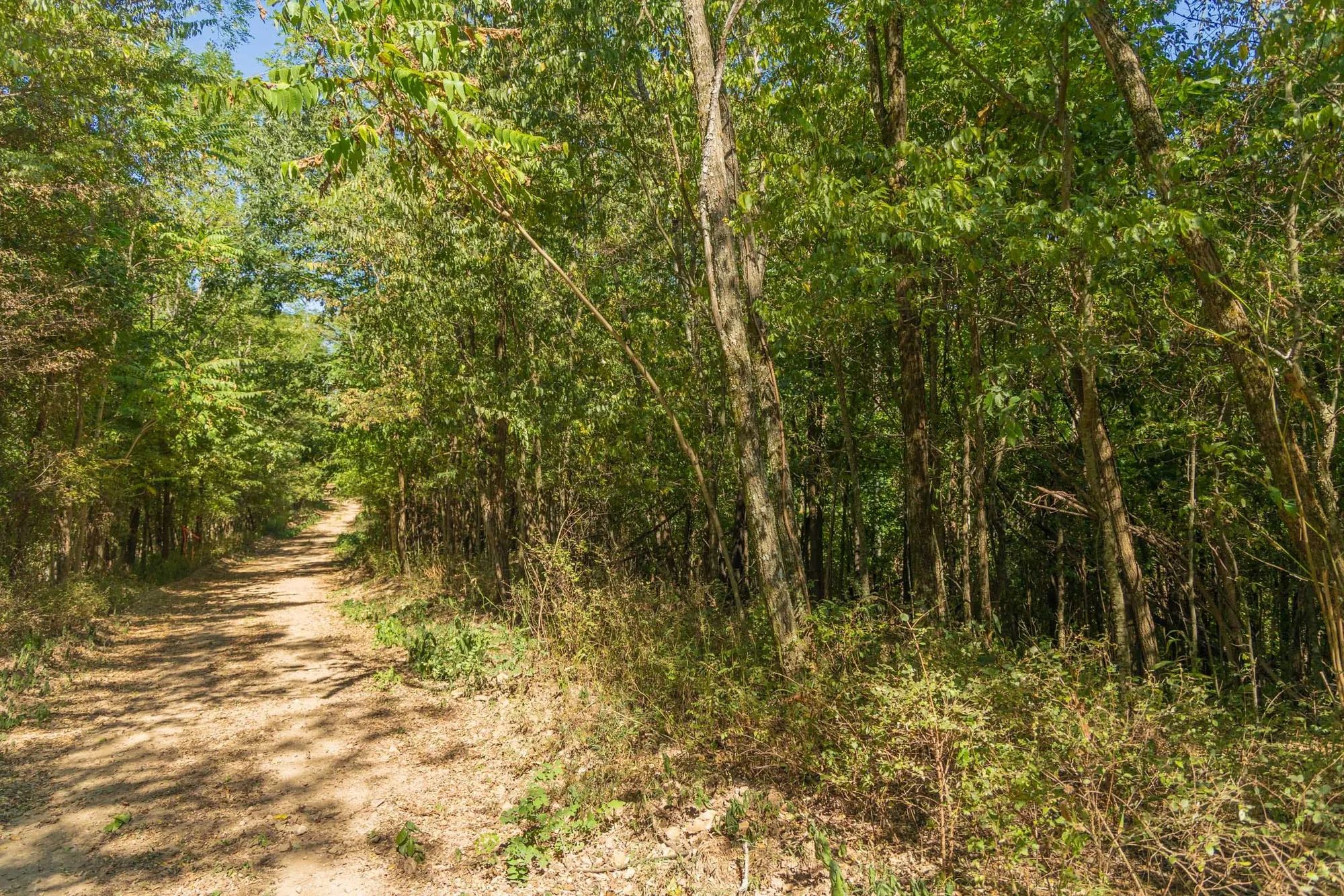 Big White Oak Tract 112 in Perry County, TN