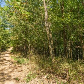 Big White Oak Tract 112 in Perry County, TN