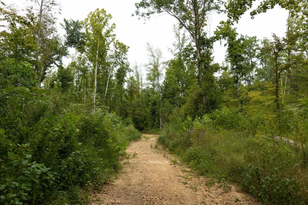 Big White Oak Tract 131 - Main image