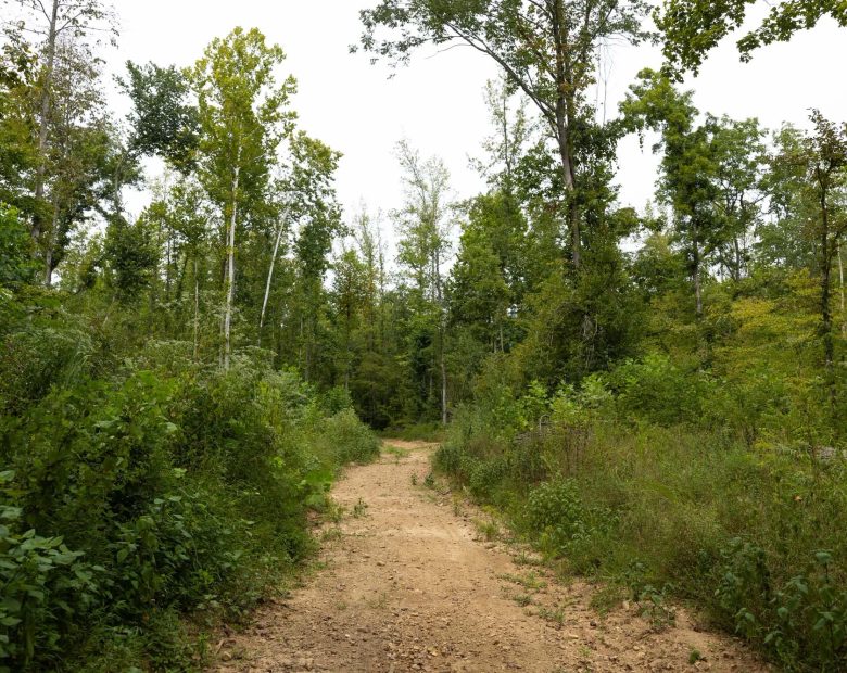 Big White Oak Tract 131 in Perry County, TN