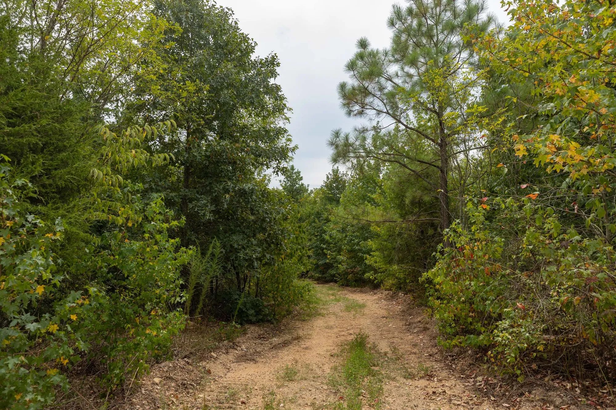 Big White Oak Tract 131 in Perry County, TN