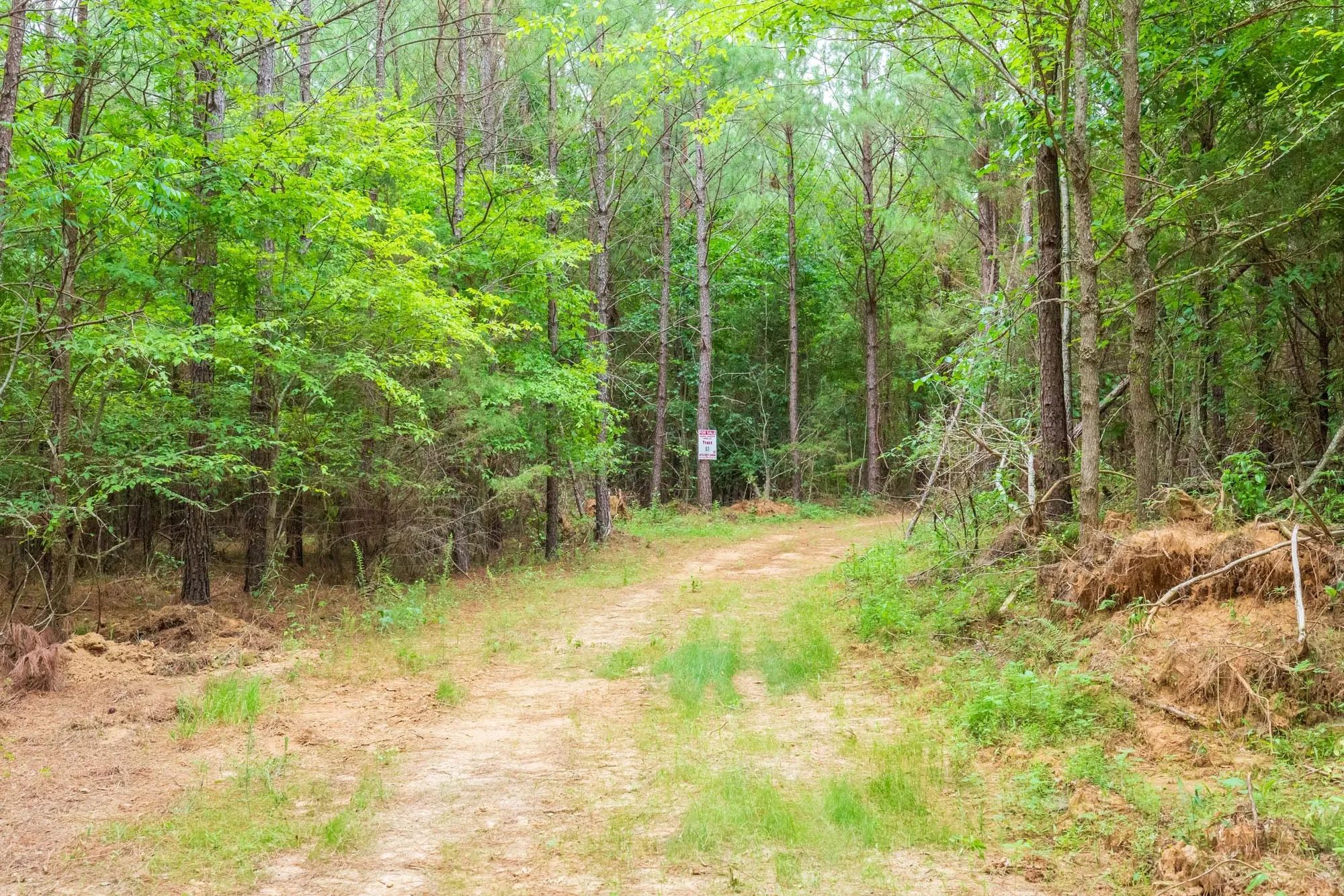 Whiskey Ridge Tract 83 in Henderson County, TN