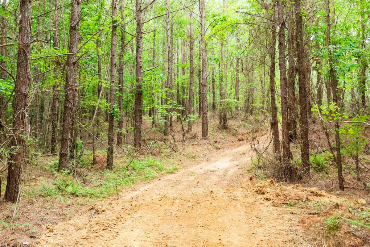 Whiskey Ridge Tract 83 - Image 4