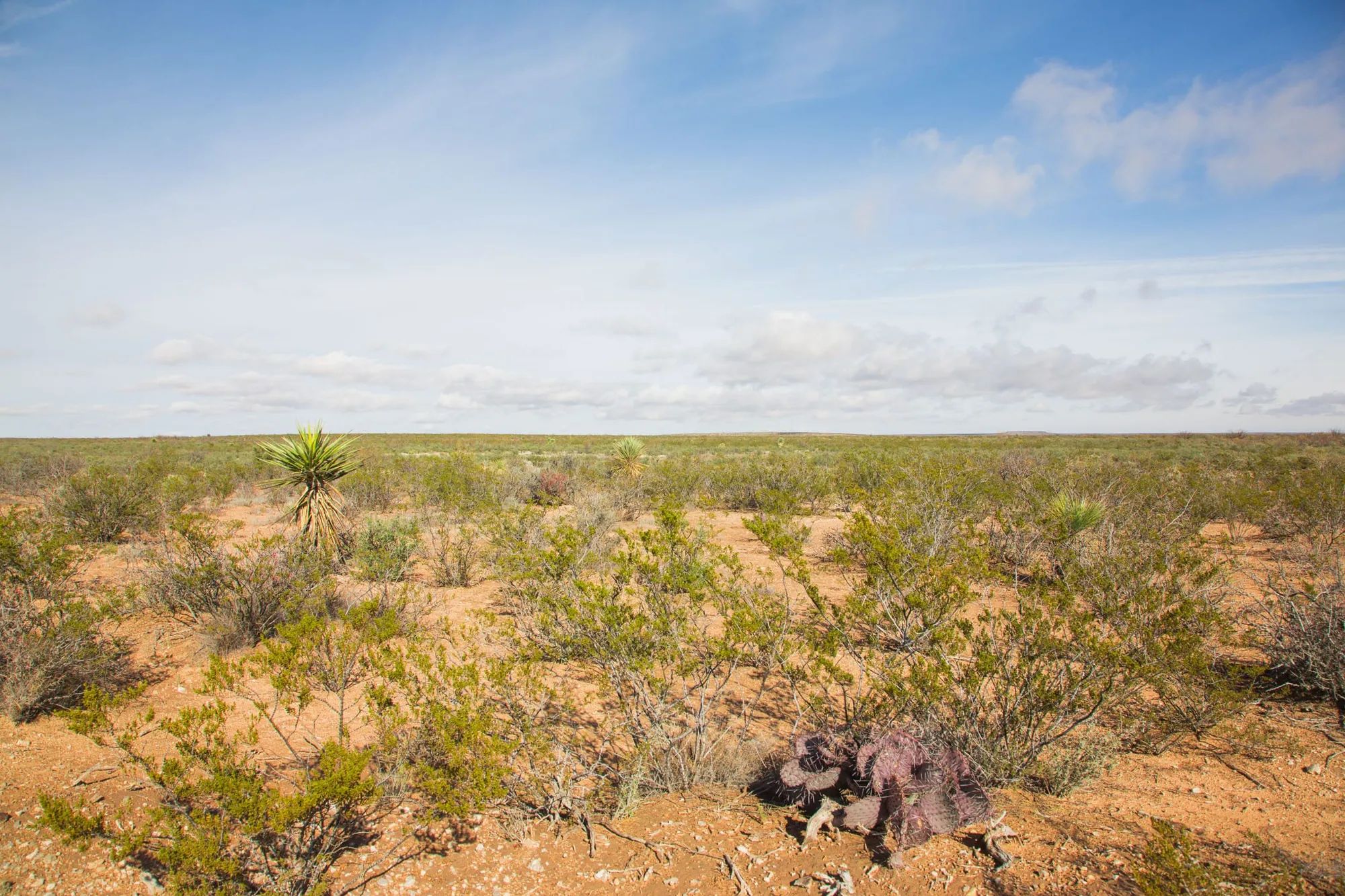 Sunset Ranches Tract 18 in Hudspeth County, TX