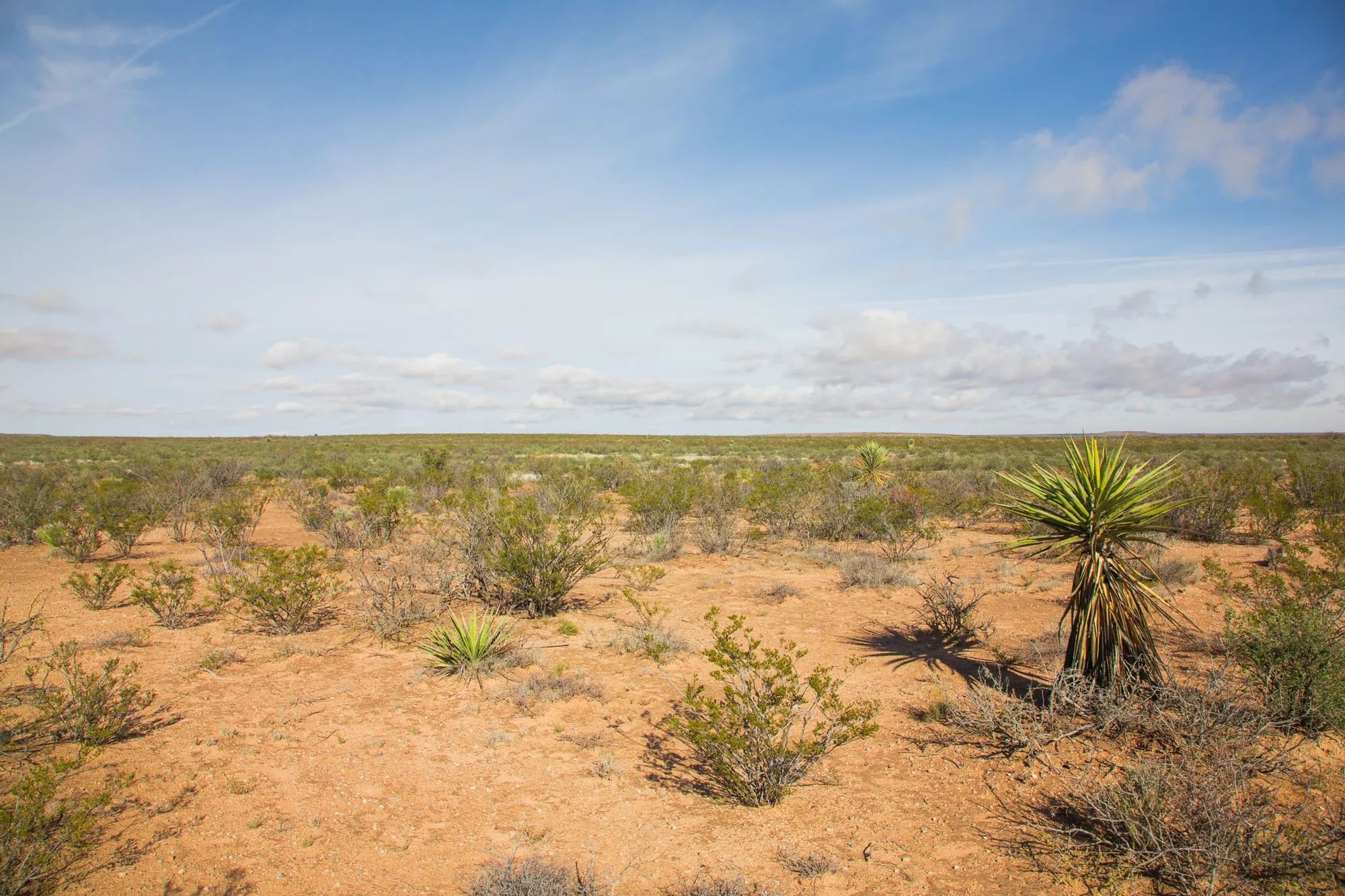 Sunset Ranches Tract 18 in Hudspeth County, TX