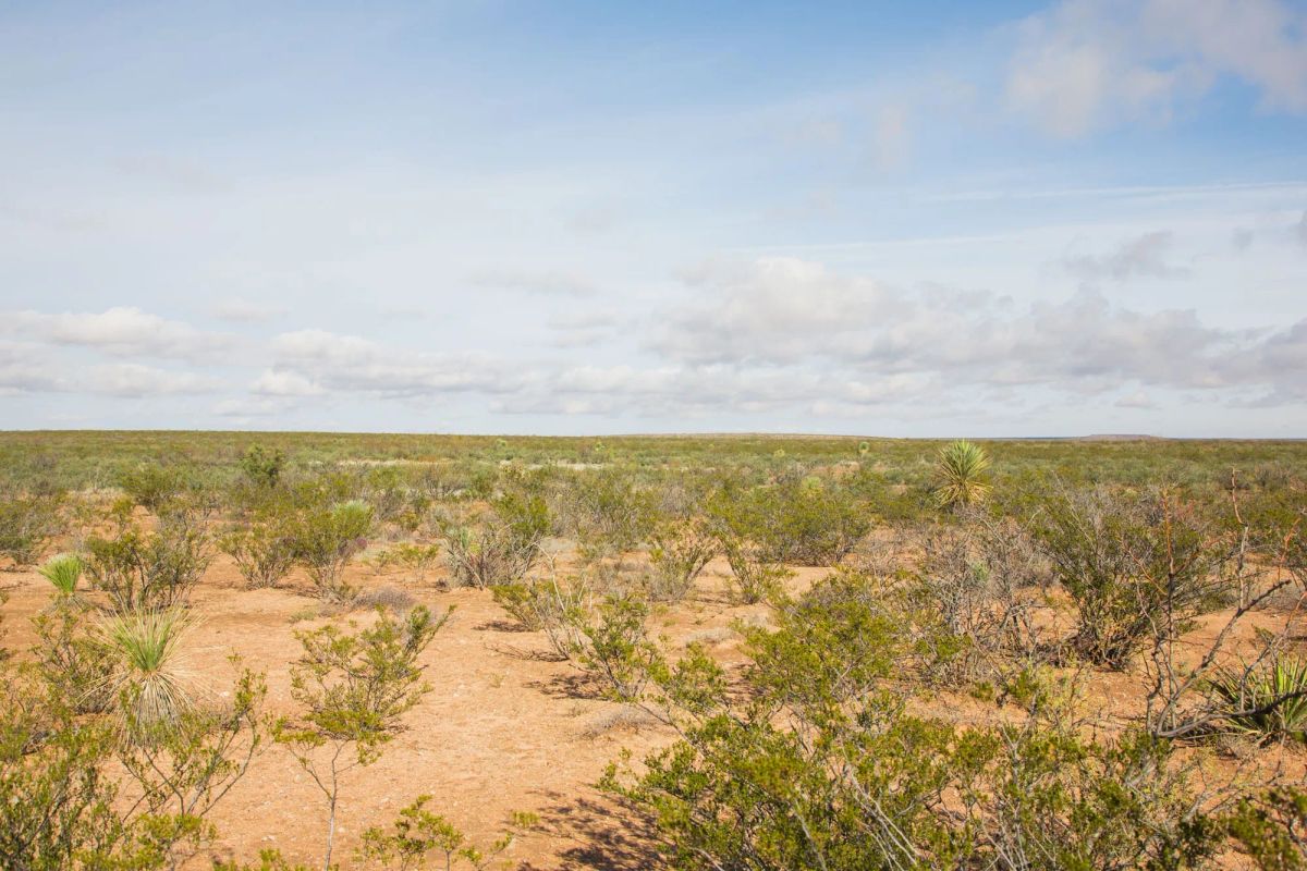 Sunset Ranches Tract 18 - Image 4