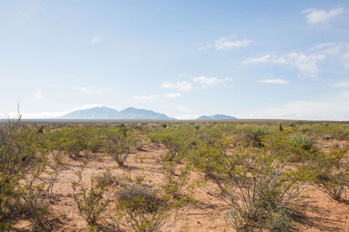 Decorative background for Sunset Ranches Tract 18 image 7
