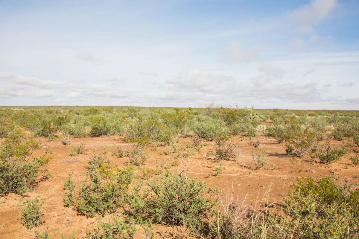 Decorative background for Sunset Ranches Tract 18 image 8