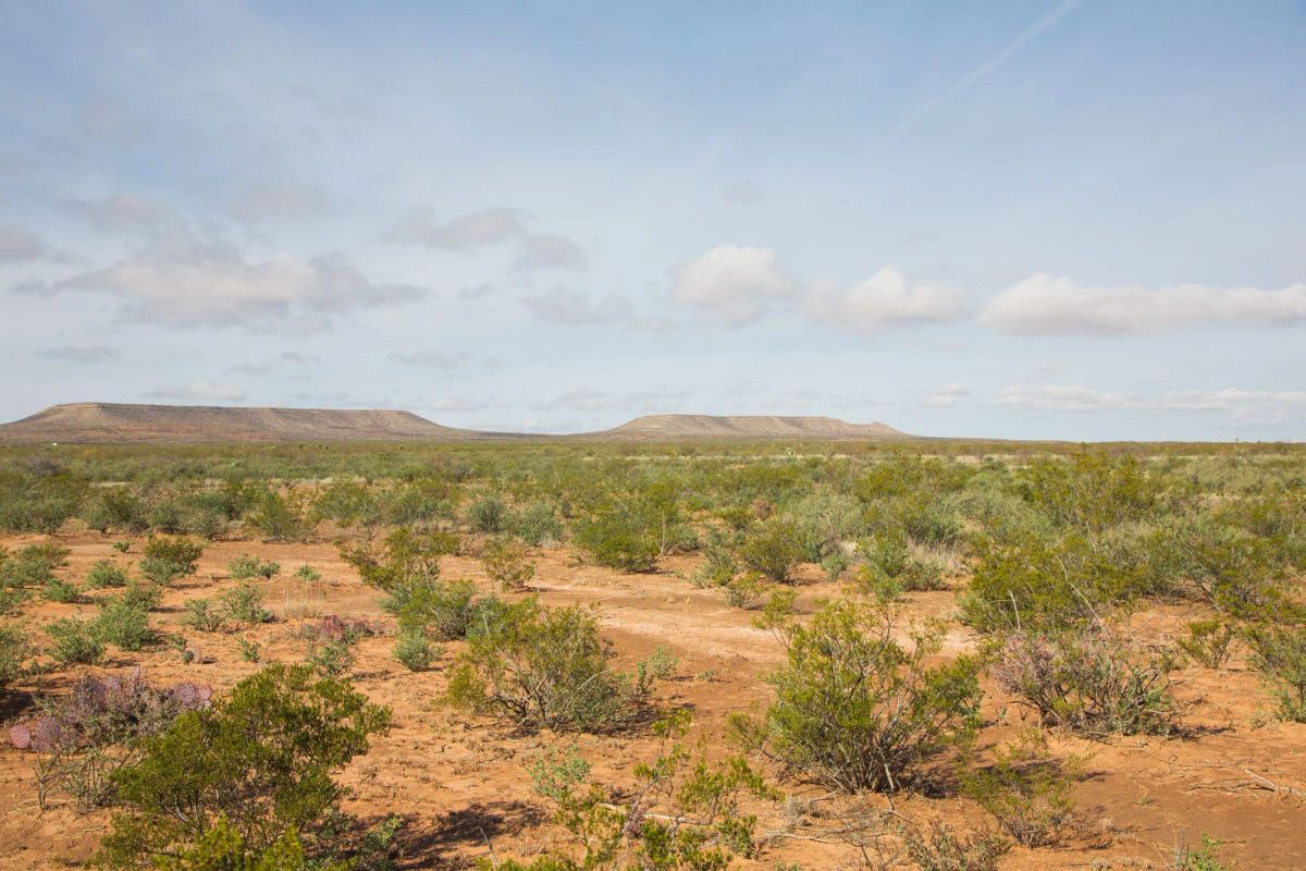 Decorative background for Sunset Ranches Tract 18 image 9