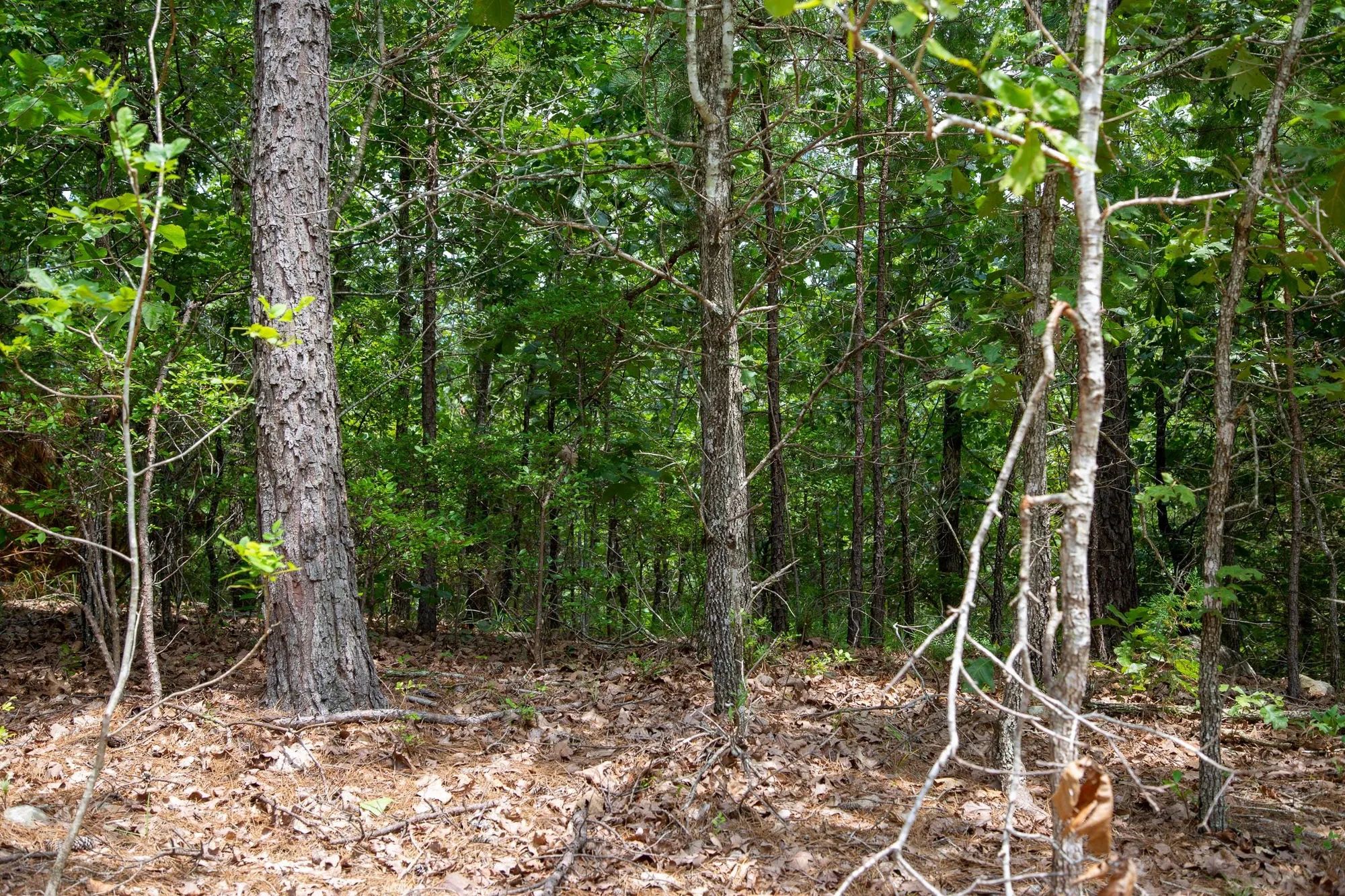 Tyler Stone Ranch Tract 52 in Le Flore County, OK