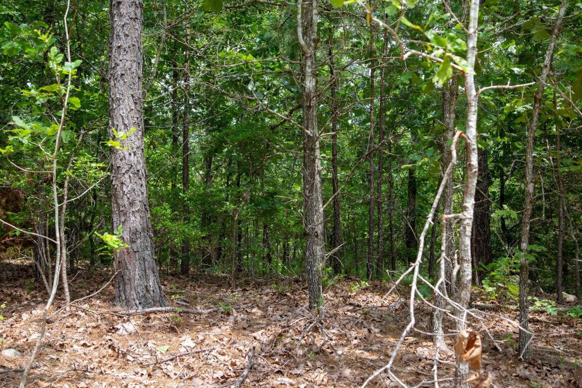 Tyler Stone Ranch Tract 52 - Image 2