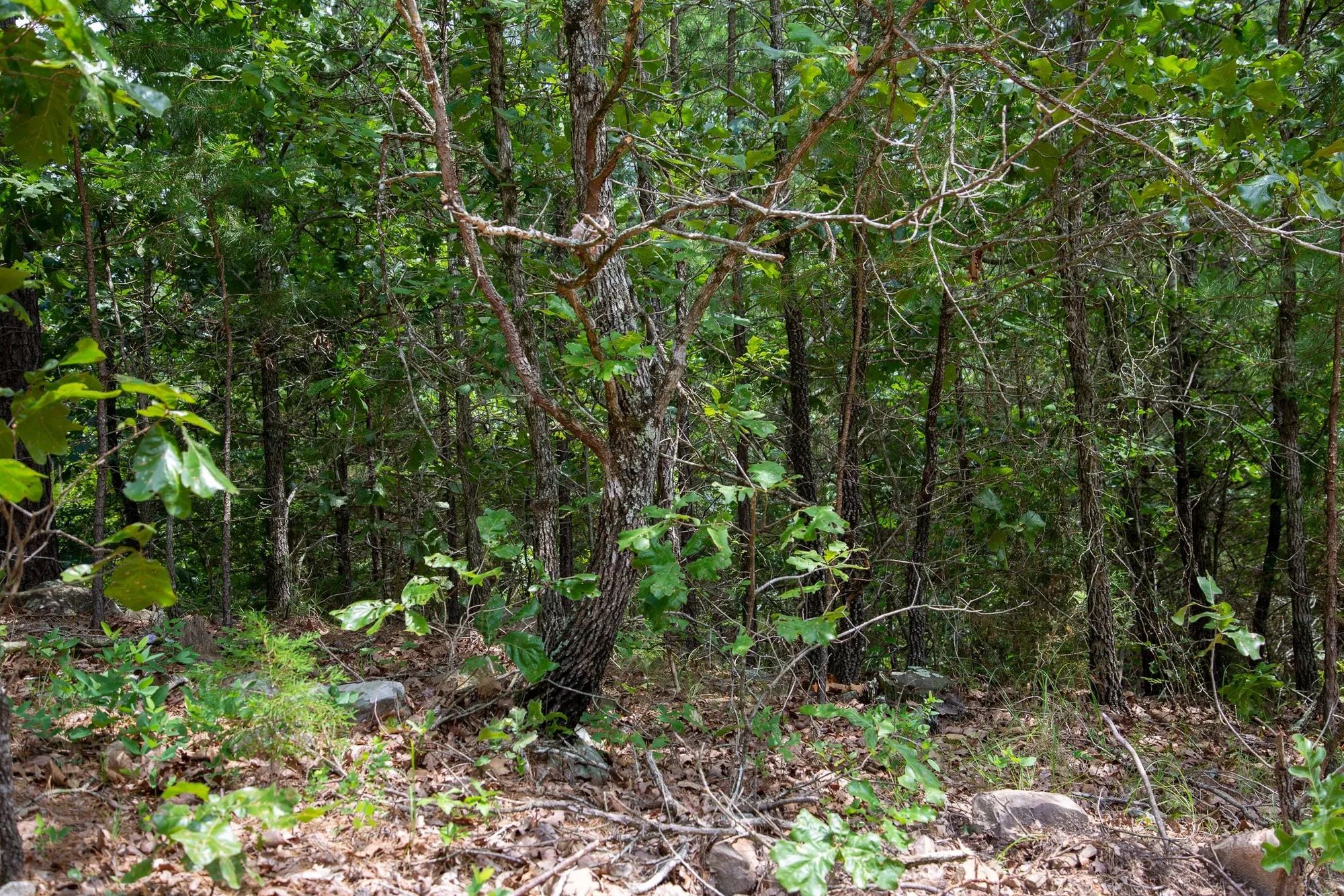 Tyler Stone Ranch Tract 52 in Le Flore County, OK