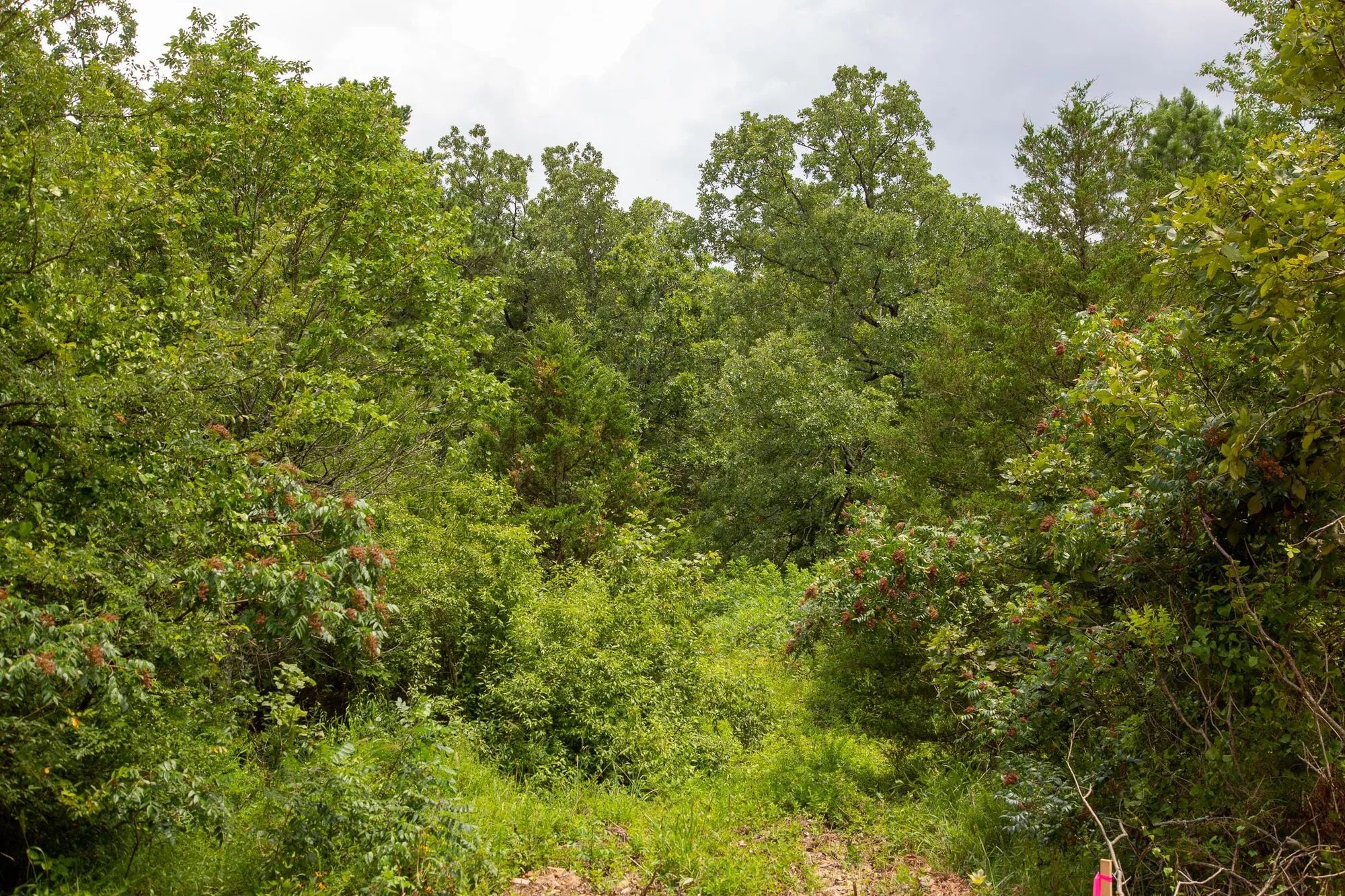 Tyler Stone Ranch Tract 52 in Le Flore County, OK