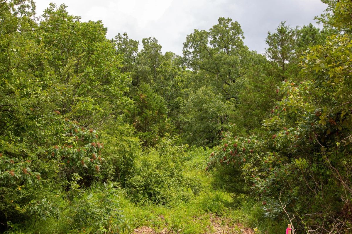 Tyler Stone Ranch Tract 52 - Image 4