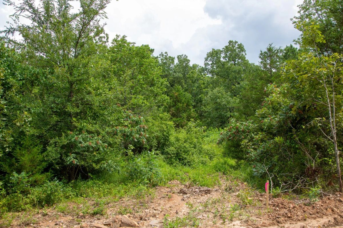 Decorative background for Tyler Stone Ranch Tract 52 image 5