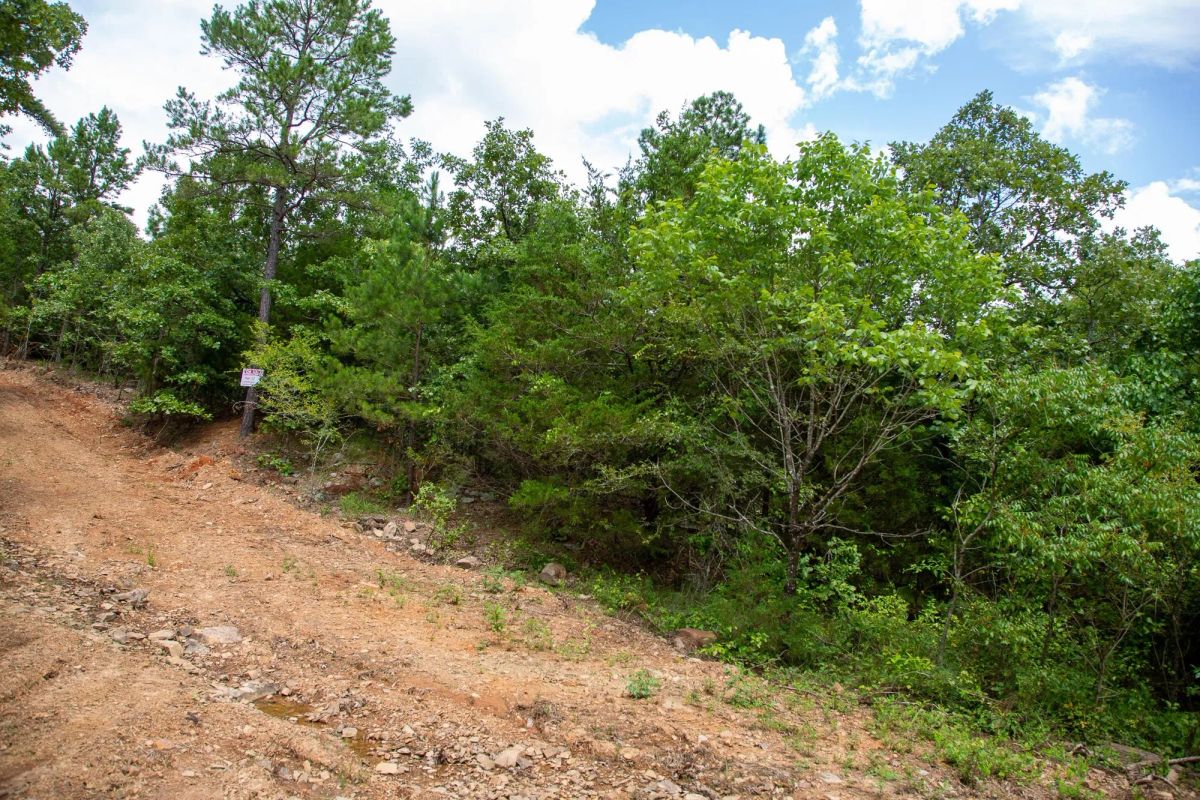 Decorative background for Tyler Stone Ranch Tract 52 image 6