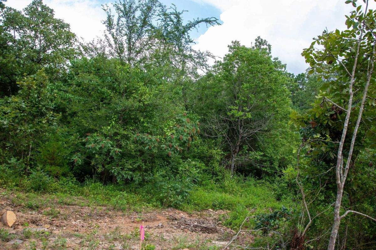 Decorative background for Tyler Stone Ranch Tract 52 image 7