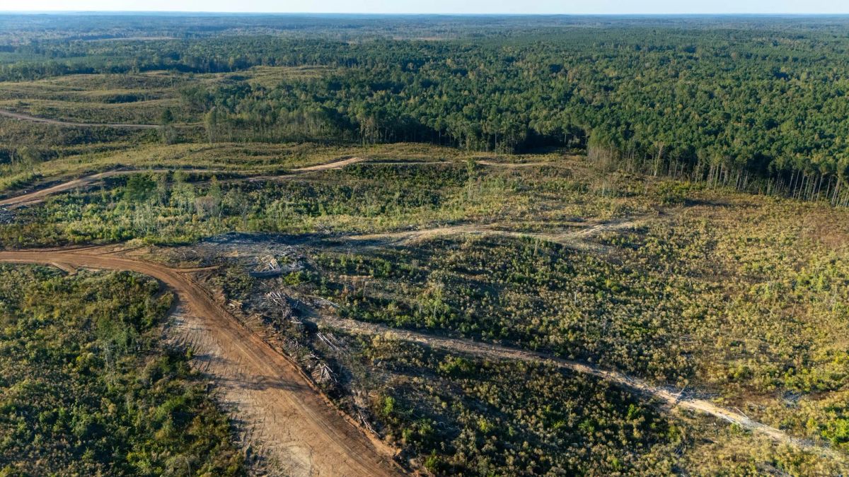 Meyer’s Ridge Tract 26 - Main image