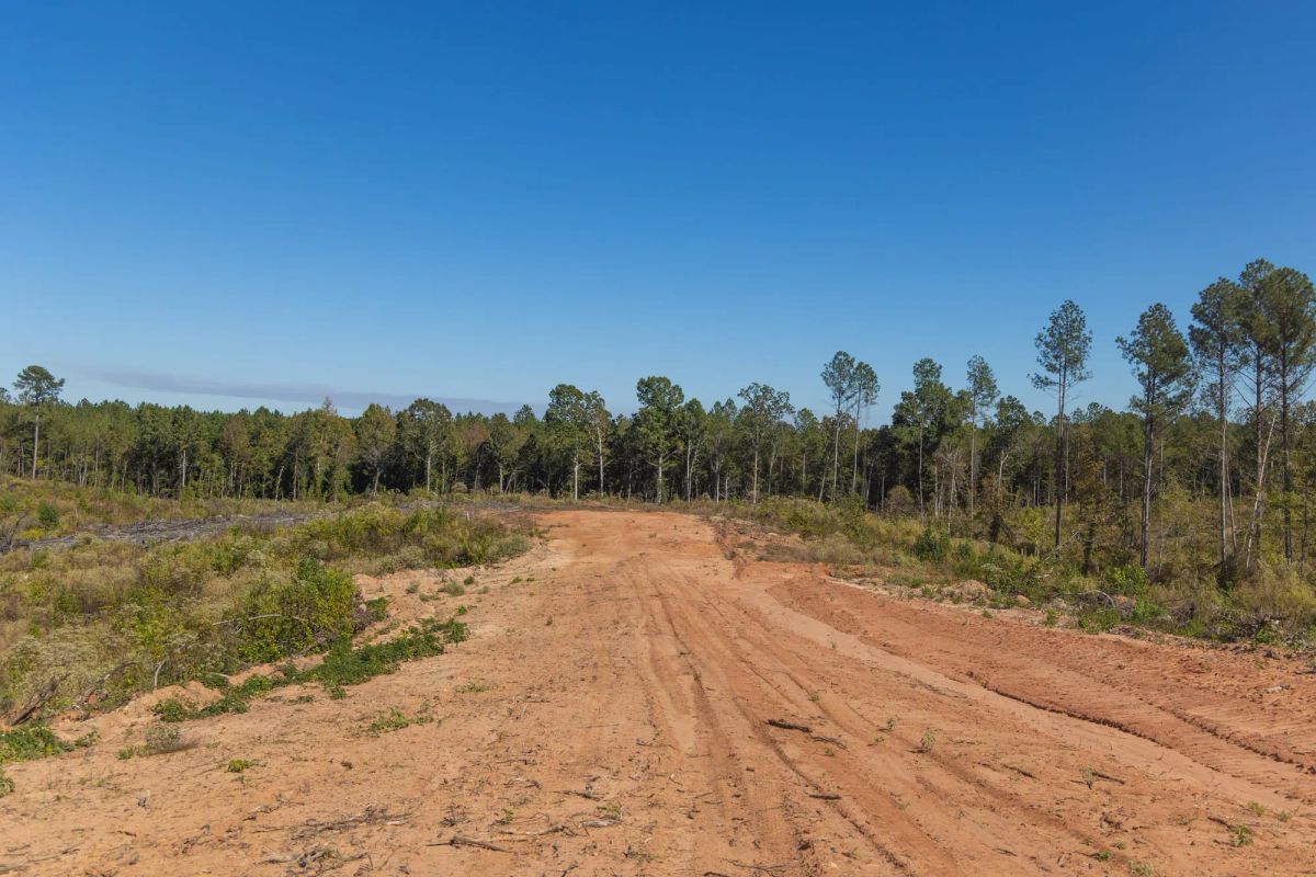 Meyer’s Ridge Tract 26 - Image 2