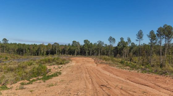 Meyer’s Ridge Tract 26 in Attala County, MS