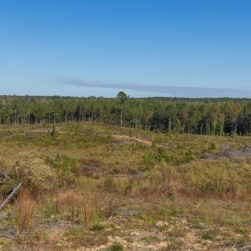 Meyer’s Ridge Tract 26 in Attala County, MS