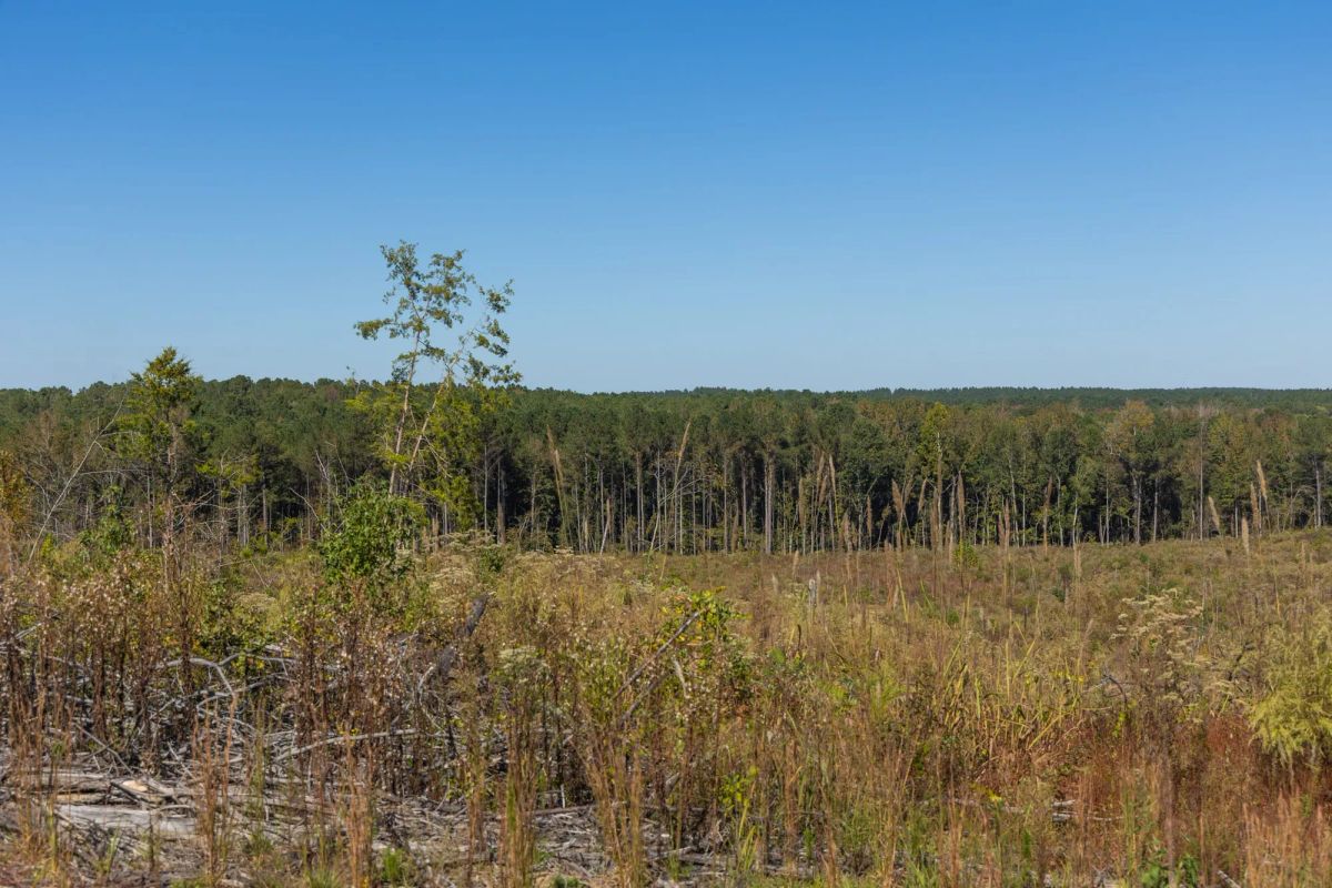 Decorative background for Meyer’s Ridge Tract 26 image 5