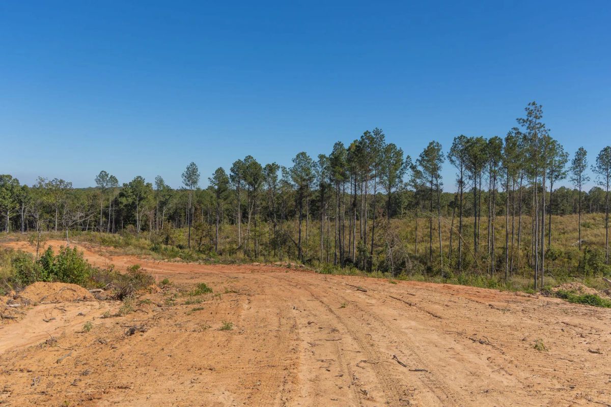 Decorative background for Meyer’s Ridge Tract 26 image 6