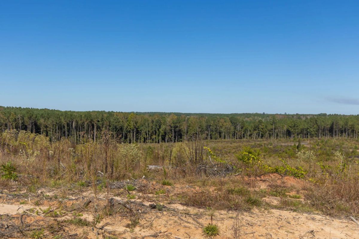 Decorative background for Meyer’s Ridge Tract 26 image 9