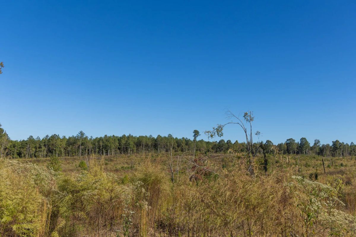 Decorative background for Meyer’s Ridge Tract 26 image 10