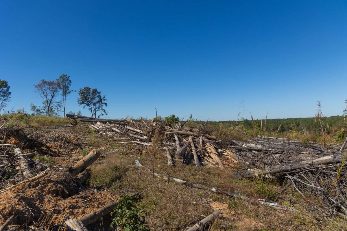 Decorative background for Meyer’s Ridge Tract 26 image 13