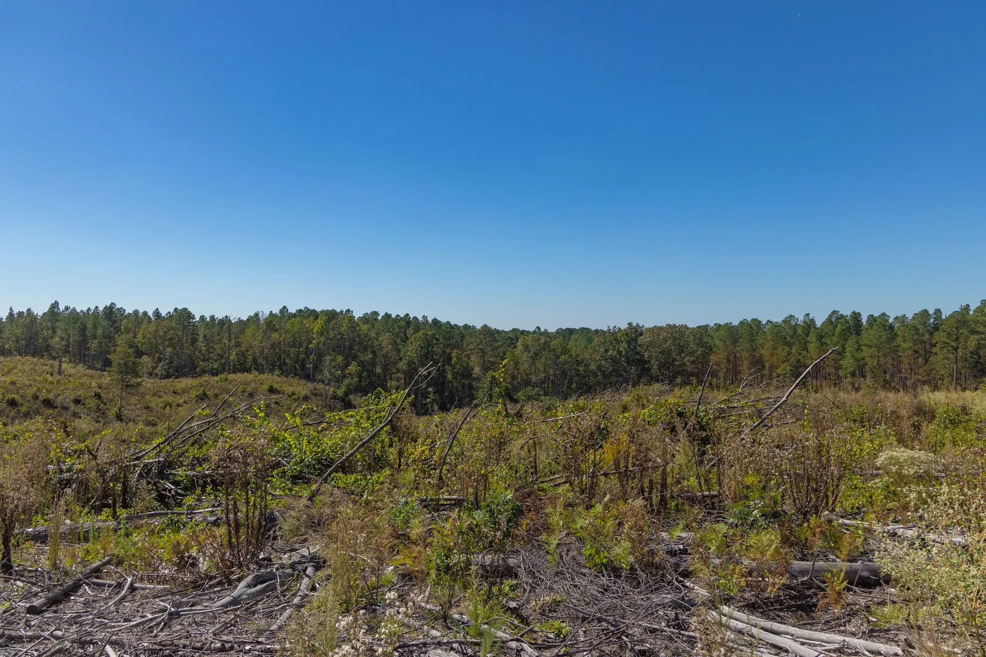 Meyer’s Ridge Tract 43 in Attala County, MS