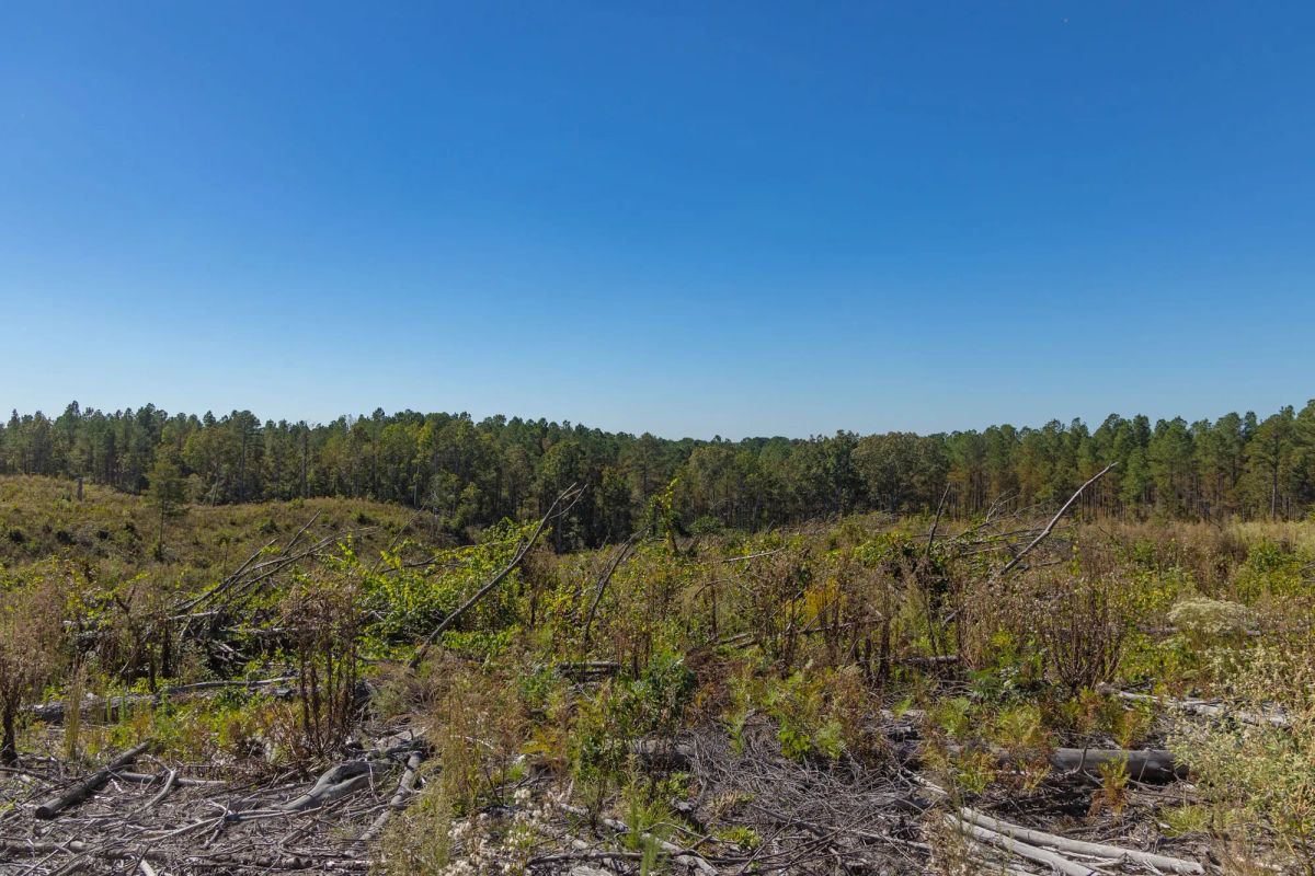 Meyer’s Ridge Tract 43 - Image 3