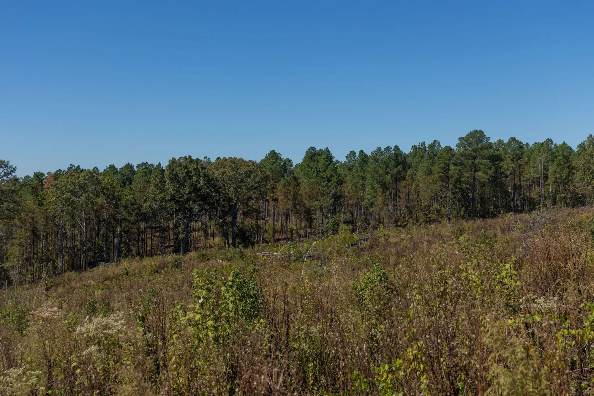 Meyer’s Ridge Tract 43 in Attala County, MS