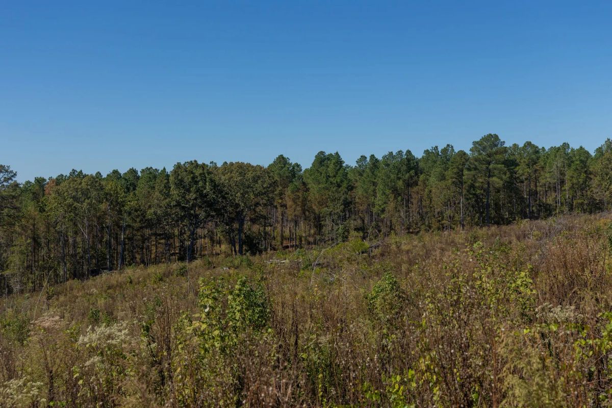 Meyer’s Ridge Tract 43 - Image 4