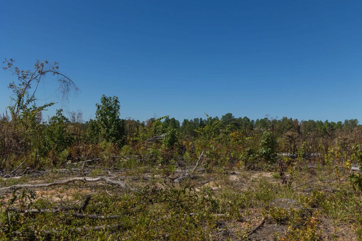 Decorative background for Meyer’s Ridge Tract 43 image 5